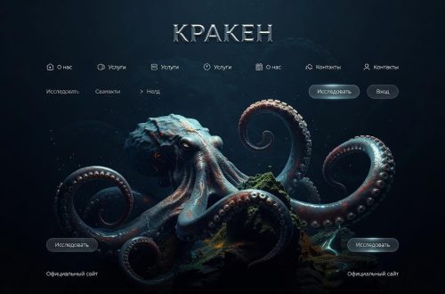 Цифровой маркетплейс Kraken: Путеводитель по официальному сайту и его возможностям